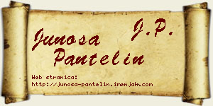 Junoša Pantelin vizit kartica